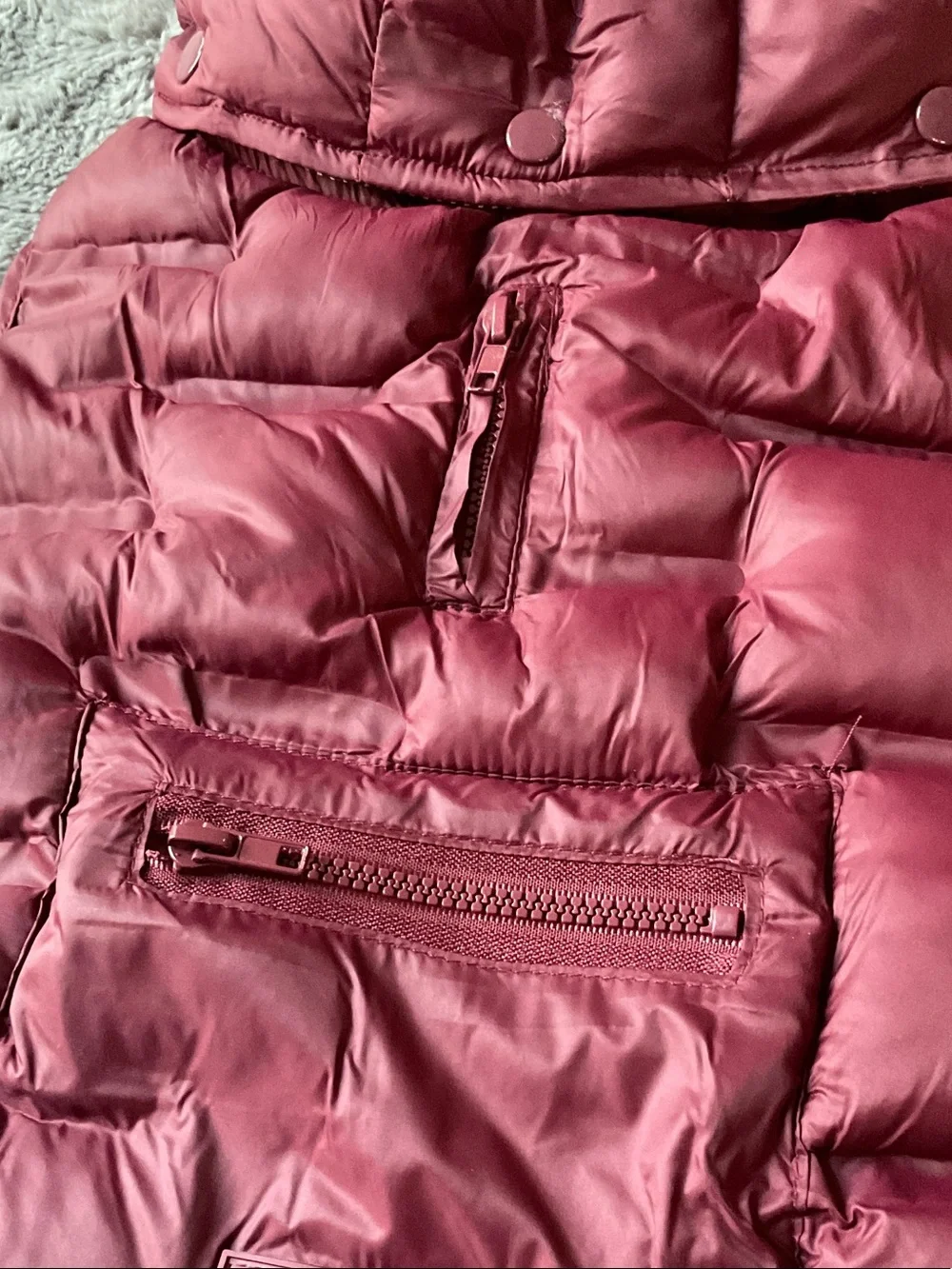 Quilted Dog Puffer Jacket with Hood NWOT